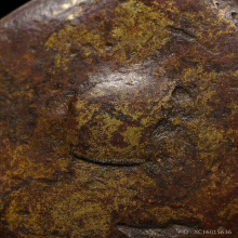 พญาเต่าเรือน หลวงพ่อเงิน วัดบางคลาน จ.พิจิตร