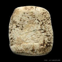 พระวัดพลับ พิมพ์พุงป่องใหญ่