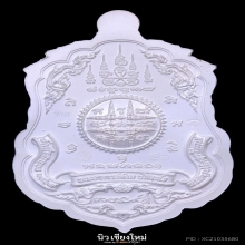 เหรียญเสือคู่มหาบารมี พระอาจารย์ต้อม วัดท่าสะแบง