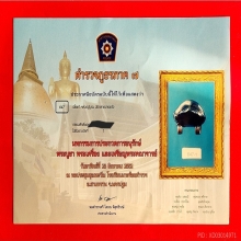 เบี้ยแก้หลวงปู่บุญ วัดกลางบางแก้ว สวยแชมป์