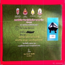 เบี้ยแก้หลวงปู่บุญ วัดกลางบางแก้ว สวยแชมป์