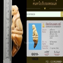 เสือหลวงพ่อคงวัดวังสรรพรส +บัตรรับรองสมาคม