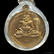 เหรียญเปิดโลก หลวงปู่หงษ์ พรหมปัญโญ ปี 52 เนื้อนวะ 