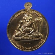 เหรียญเปิดโลก หลวงปู่หงษ์ พรหมปัญโญ ปี 52 เนื้อนวะ 
