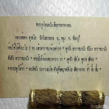 ตะกรุดโทน หนังเสือ หลวงพ่อคง วัดวังสรรพรส