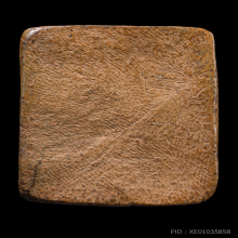 พระเนื้อดินเผาหลวงปู่ฝั้น วัดป่าฯ รุ่นระเบิดด้าน ปี 18