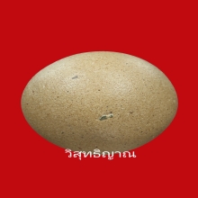 ลูกอมมหาเสน่ห์ หลวงพ่อสงวน วัดไผ่พันมือ