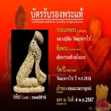 เสื้อกล้ามช้างน้ำ หลวงปู่ทิมวัดละหารไร่ ทรงนิยมสุด