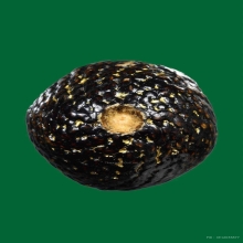 ลูกอมมหากัน หลวงพ่อคง วัดบางกระพ้อม