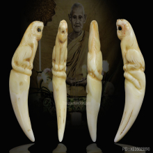 เขี้ยวเสือหลวงพ่อพัว วัดบางเดือน