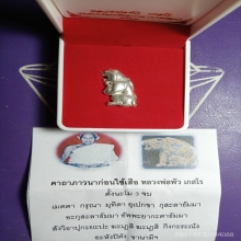 เสือเนื้อเงินเสาร์ห้า วัดบางเดือน สุราษฎร์ธานี