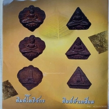 พระผงพิมพ์โพธิจักร วัดป่าดานวิเวก บึงกาฬ