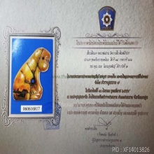 เสือ ลพ.ปาน วัดคลองด่าน(บางเหี้ย)