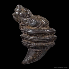 เขี้ยวพญานาคราช เนื้อสำริดโบราณ