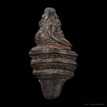 เขี้ยวพญานาคราช เนื้อสำริดโบราณ