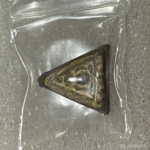 พลายเดี่ยว หลวงปู่ทิม