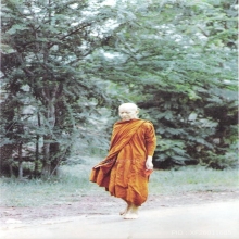 พระที่บริจาคทองคำเข้าชาติมากที่สุดในโลกอรหันต์ผู้ให้ลตมหาบัว
