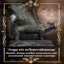 “วัวธนู” (พิมพ์เล็ก) หลวงพ่อแช่ม วัดดอนยายหอม จ.นครปฐม