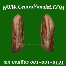 พระกำแพงซุ้มกอ พิมพ์กลาง + ตลับทอง