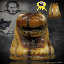 จักรพรรดิแห่งเครื่องราง เสืออ้าปาก หลวงพ่อปาน วัดคลองด่าน