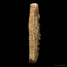 พระสมเด็จบางขุนพรหม​ พิมพ์เส้นด้าย