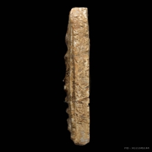 พระสมเด็จบางขุนพรหม​ พิมพ์เส้นด้าย