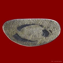 หลวงพ่อเงิน รุ่นช้างคู่ วัดท้ายน้ำ ปี 26