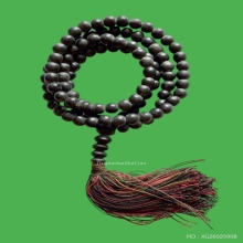 ประคำพระธรรมราช พระอาจารย์นำ วัดดอนศาลา