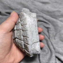 เต่าหลวงพ่อพูล วัดไผ่ล้อม รุ่นแรก