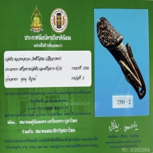 >>>..,ปลัดขิก 5หัว หลวงพ่อทวน วัดเสือลากหาง ไม้คูณ มันส์ๆ