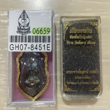 +บัตรสมาคม เหรียญเสือนอนกิน เนื้อนวโลหะ พระอาจารย์ต้อม
