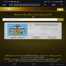 เหรียญรูปไข่ หลวงพ่อเดิม เนื้อเงินลงยาสีธงชาติ หลังจารยันต์