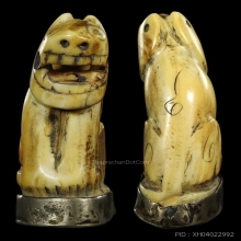 พยัคฆ์ล้านนา เสือครูบาน้อย วัดบ้านปง จ.เชียงใหม่