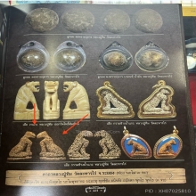 เสือกรามช้างน้ำ องค์ดาราในหนังสือ