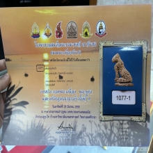 เสือกรามช้างน้ำ องค์ดาราในหนังสือ