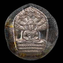 เหรียญพระนาคปรกใบมะขาม พระมหาสุรศักดิ์ รุ่นแรกปี58