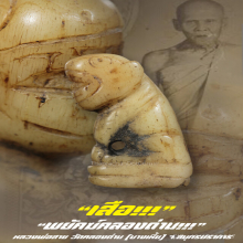 ”เสือ” หลวงพ่อสาย วัดคลองด่าน (บางเหี้ย) จ.สมุทรปราการ