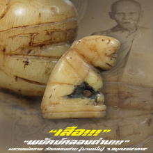 ”เสือ” หลวงพ่อสาย วัดคลองด่าน (บางเหี้ย) จ.สมุทรปราการ