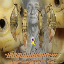 “เสือสมิงเขี้ยวแกะ” หลวงพ่อคง วัดวังสรรพรส จ.จันทบุรี