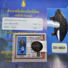 เบี้ยแก้ หลวงปู่เพิ่ม วัดกลางบางแก้ว