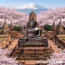 พระพุทธรูป สมัยอยุธยา ราชวงศ์ปราสาททอง สวยมาก