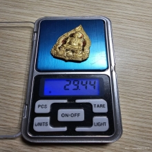 Rian Phra Narai Song Hanuman (Solid Gold) 2567