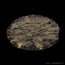 ตะกรุดเหรียญอีแปะหลวงปู่อินทร์ เทวดา วัดไทรม้าใต้+SMK Card