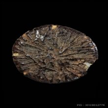 ตะกรุดเหรียญอีแปะหลวงปู่อินทร์ เทวดา วัดไทรม้าใต้+SMK Card