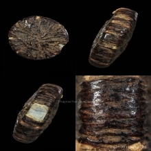 ตะกรุดเหรียญอีแปะหลวงปู่อินทร์ เทวดา วัดไทรม้าใต้+SMK Card