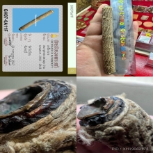 ตะกรุดหลวงพ่อผุด วัดวังเวียน ยอดตะกรุดเมืองไทย +SMK card