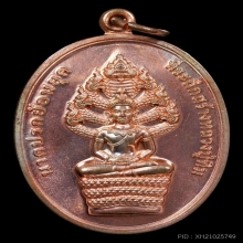 เหรียญพระนาคปรก หลวงปู่ทิม ปี56 เนื้อนวะ