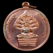 เหรียญพระนาคปรก หลวงปู่ทิม ปี56 เนื้อนวะ