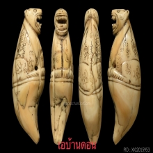 เขี้ยวเสือหลวงพ่อสาย(ตัวแชมป์) ใบเซอร์ ใบประกาศ