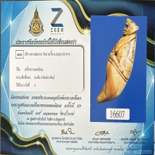 เขี้ยวเสือหลวงพ่อสาย(ตัวแชมป์) ใบเซอร์ ใบประกาศ